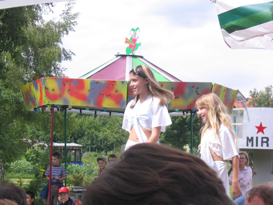 hauk 0208