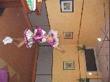 fgh111103 0124