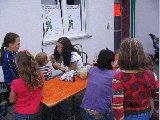 hauk 0241